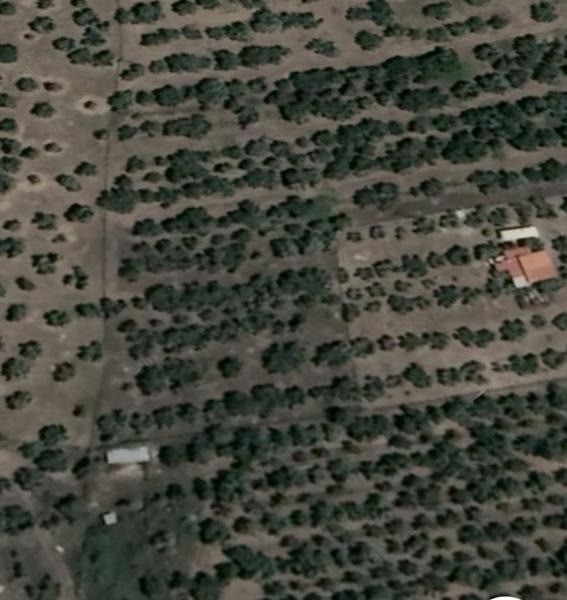 Οικόπεδο 4.000 τ.μ. προς πώληση, Ροβιές