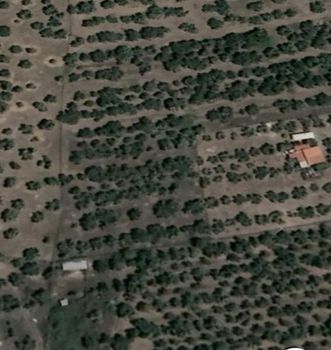 Land plot 4.000sqm for sale-Limni » Rovies