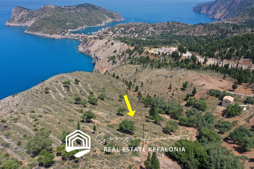 Αγροτεμάχια 4.906 τ.μ. προς πώληση, Έρισος