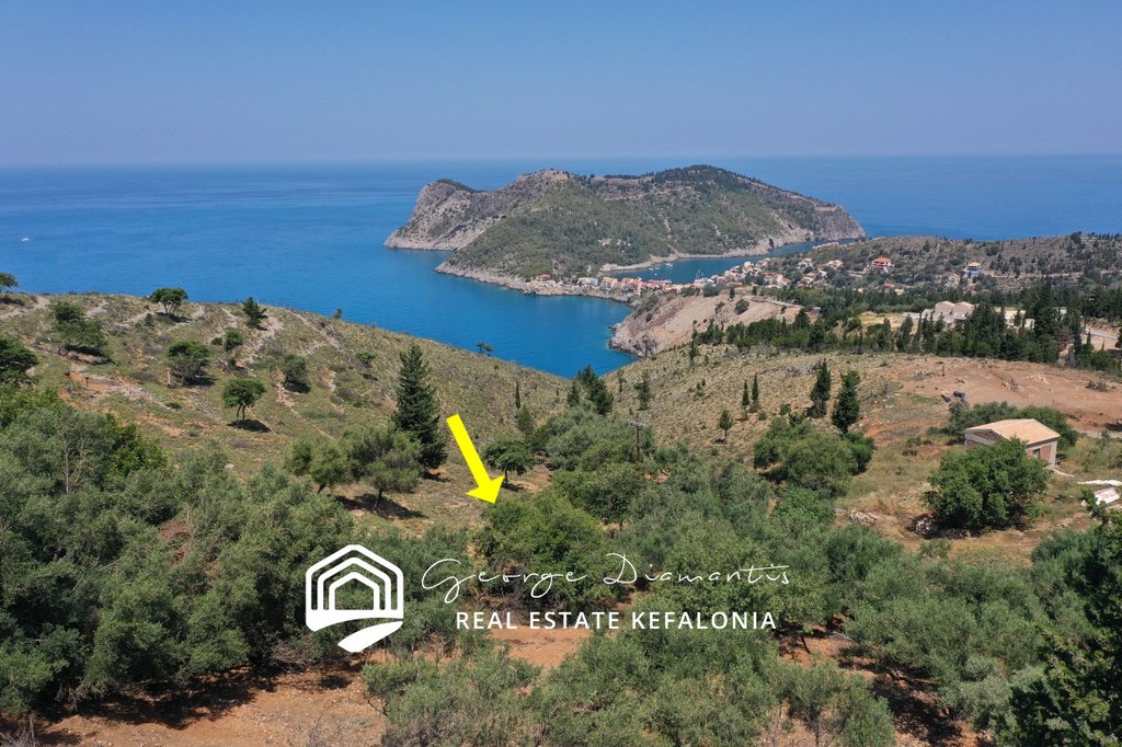 Αγροτεμάχια 4.906 τ.μ. προς πώληση, Έρισος