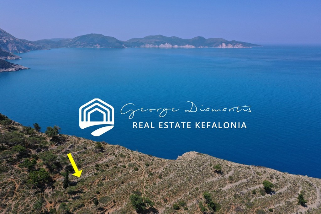 Αγροτεμάχια 4.906 τ.μ. προς πώληση, Έρισος