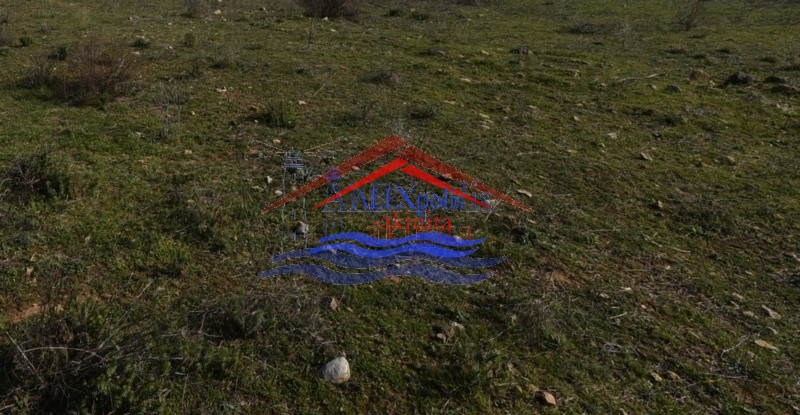 Αγροτεμάχια 4.000 τ.μ. πρός πώληση, Εβρος, Αλεξανδρούπολη
