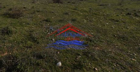 Αγροτεμάχια 4.000τ.μ. για πώληση-Αλεξανδρούπολη » Νέα χιλή