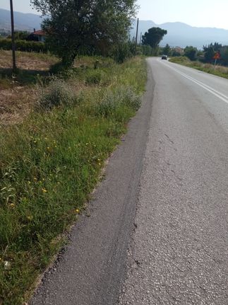 Αγροτεμάχια 6.128 τ.μ. για πώληση, Θεσσαλονίκη - Περιφ/Κοί Δήμοι, Θέρμη