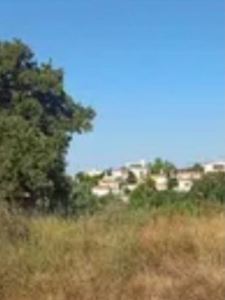 Land plot 554 sqm for sale, Rest Of Attica, Kalivia Thorikou