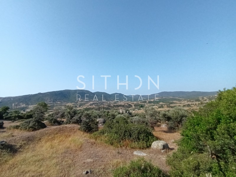 Οικόπεδο 500 τ.μ. προς πώληση, Σκάλα Συκέας