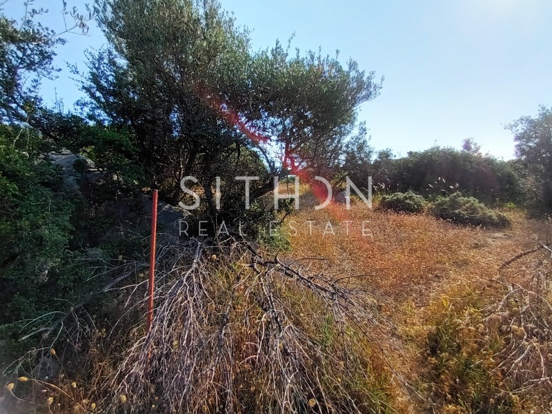 Οικόπεδο 500 τ.μ. προς πώληση, Σκάλα Συκέας