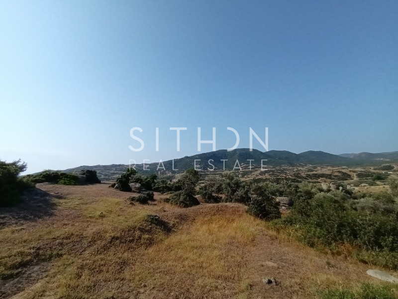 Οικόπεδο 500 τ.μ. προς πώληση, Σκάλα Συκέας