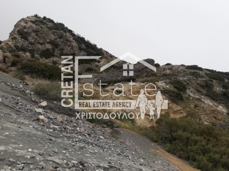 Αγροτεμάχια 8.100 τ.μ. προς πώληση, Τέρτσα