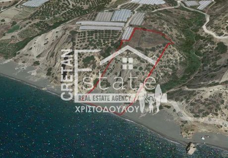 Αγροτεμάχια 8.100 τ.μ. για πώληση