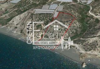 Αγροτεμάχια 8.100 τ.μ. για πώληση