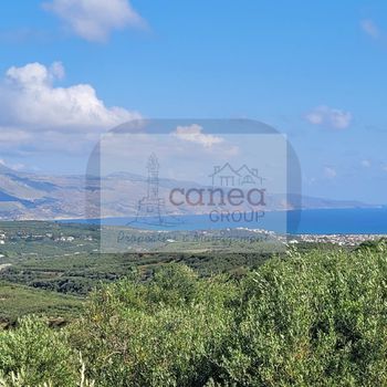 Οικόπεδο 4.585τ.μ. για πώληση-Πλατανιάς » Ξαμουδοχώρι