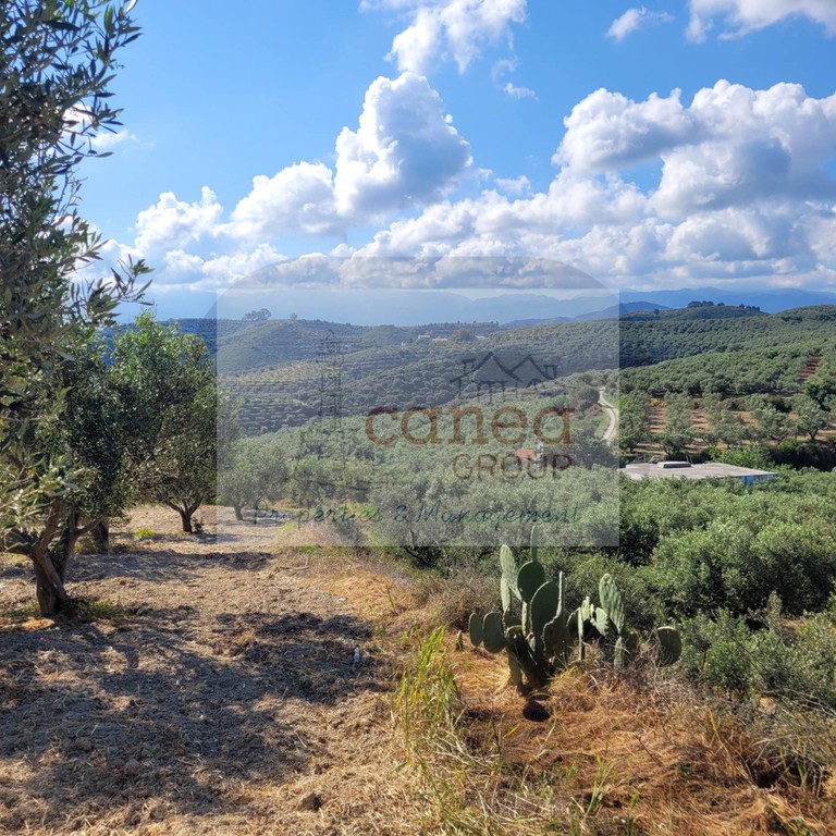 Οικόπεδο 4.585 τ.μ. προς πώληση, Ξαμουδοχώρι