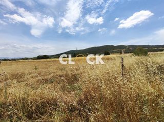 Αγροτεμάχια 4.500 τ.μ. για πώληση