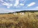 Αγροτεμάχια 4.500τ.μ. για πώληση-Θέρμη » Αγία παρασκευή