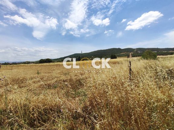 Αγροτεμάχια 4.500 τ.μ. για πώληση, Θεσσαλονίκη - Περιφ/Κοί Δήμοι, Θέρμη