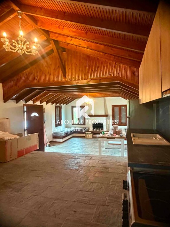 Studio / γκαρσονιέρα 60 τ.μ. προς ενοικίαση, Ψακούδια