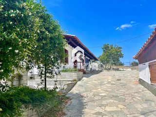 Studio / γκαρσονιέρα 60 τ.μ. για ενοικίαση, Χαλκιδική, Ορμύλια-thumb-1