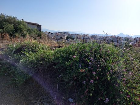 Οικόπεδο 591 τ.μ. για πώληση
