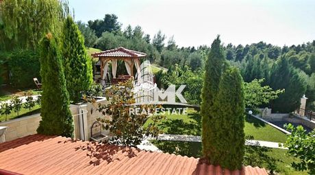Αγροτεμάχια 5.230τ.μ. για πώληση-Κασσάνδρα » Σίβηρη