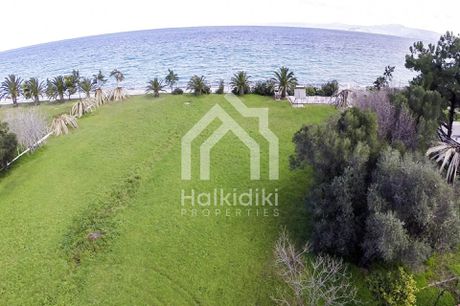 Αγροτεμάχια 4.300 τ.μ. για πώληση