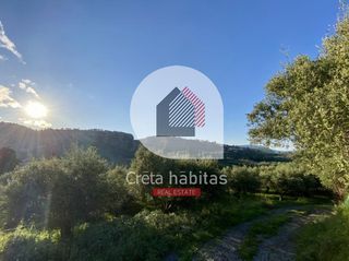 Οικόπεδο 4.705 τ.μ. για πώληση, Ν. Χανίων, Φρέ-thumb-5
