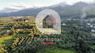 Οικόπεδο 4.705 τ.μ. για πώληση, Ν. Χανίων, Φρέ-thumb-7