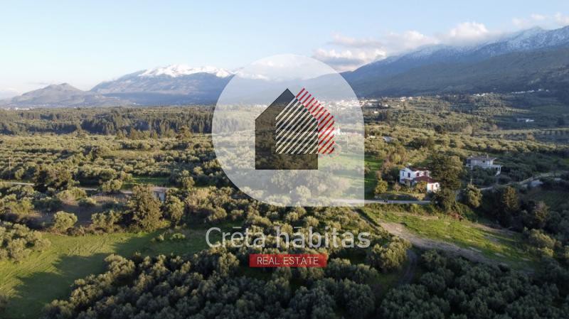 Οικόπεδο 4.705 τ.μ. προς πώληση, Πεμόνια