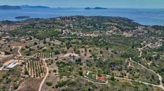 Αγροτεμάχια 4.010 τ.μ. για πώληση, Αργολίδα, Κρανίδι-thumb-7