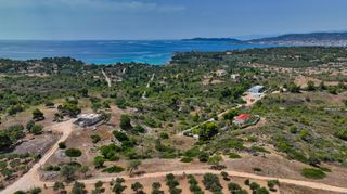 Αγροτεμάχια 4.010 τ.μ. για πώληση, Αργολίδα, Κρανίδι-thumb-19