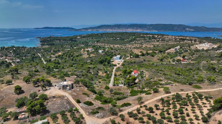 Αγροτεμάχια 4.010 τ.μ. για πώληση, Αργολίδα, Κρανίδι