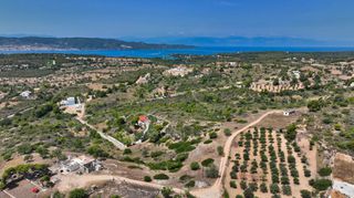 Αγροτεμάχια 4.010 τ.μ. για πώληση, Αργολίδα, Κρανίδι-thumb-16