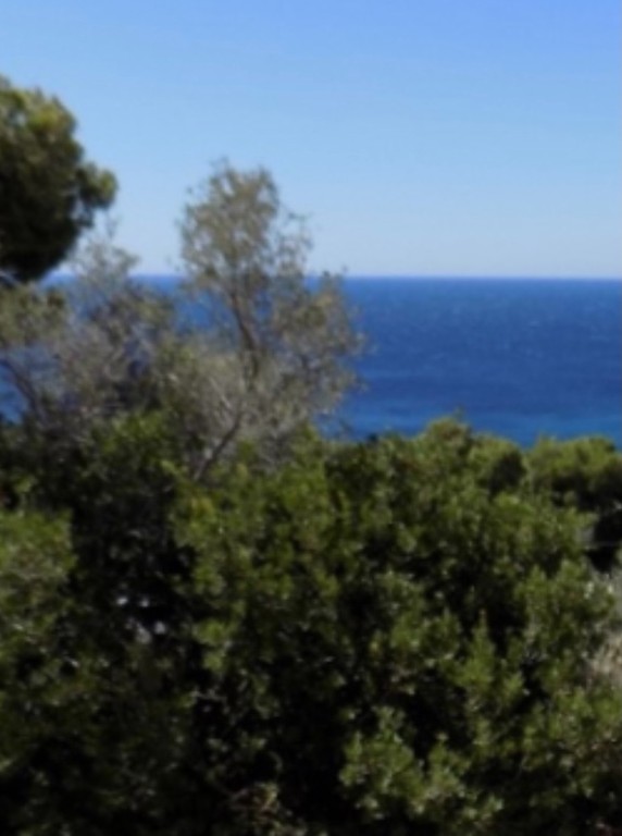 Οικόπεδο 412 τ.μ. προς πώληση, Αγία Μαρίνα Κορωπίου