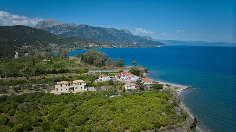 Αγροτεμάχια 270 τ.μ. για πώληση