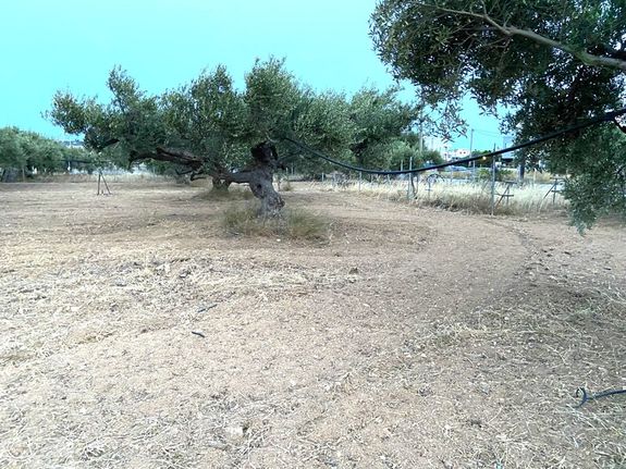 Οικόπεδο 670 τ.μ. για πώληση, Ν. Λασιθίου, Ιεράπετρα