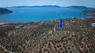 Αγροτεμάχια 4.025 τ.μ. για πώληση, Αργολίδα, Ερμιόνη-thumb-3