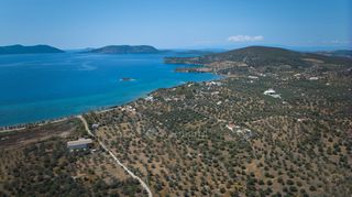 Αγροτεμάχια 4.025 τ.μ. για πώληση, Αργολίδα, Ερμιόνη-thumb-6
