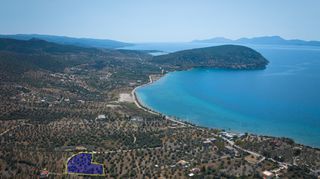 Αγροτεμάχια 4.025 τ.μ. για πώληση, Αργολίδα, Ερμιόνη-thumb-5