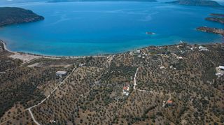 Αγροτεμάχια 4.025 τ.μ. για πώληση, Αργολίδα, Ερμιόνη-thumb-4