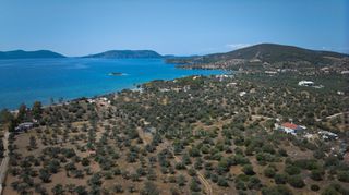 Αγροτεμάχια 4.025 τ.μ. για πώληση, Αργολίδα, Ερμιόνη-thumb-17