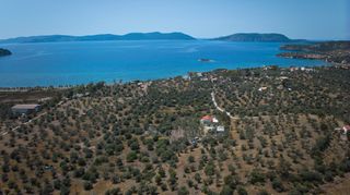 Αγροτεμάχια 4.025 τ.μ. για πώληση, Αργολίδα, Ερμιόνη-thumb-10