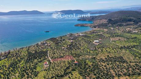 Αγροτεμάχια 4.025 τ.μ. για πώληση
