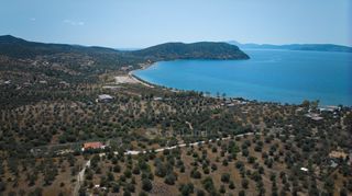 Αγροτεμάχια 4.025 τ.μ. για πώληση
