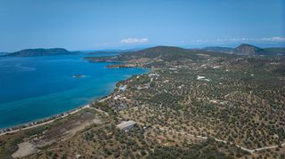 Αγροτεμάχια 4.025 τ.μ. για πώληση, Αργολίδα, Ερμιόνη-thumb-11