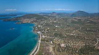 Αγροτεμάχια 4.025 τ.μ. για πώληση, Αργολίδα, Ερμιόνη-thumb-14