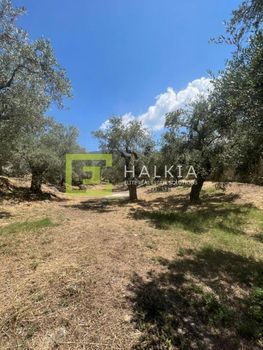 Οικόπεδο 517τ.μ. για πώληση-Αγριά » Κέντρο