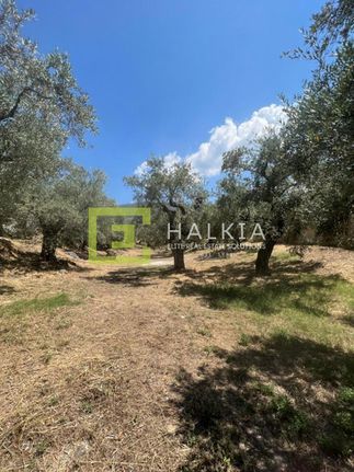 Land plot 517 sqm for sale, Magnesia, Agria