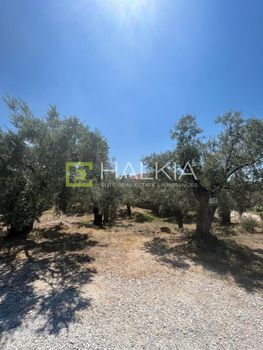 Land plot 517 sqm for sale