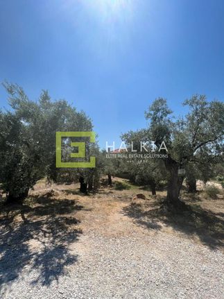 Land plot 517 sqm for sale, Magnesia, Agria