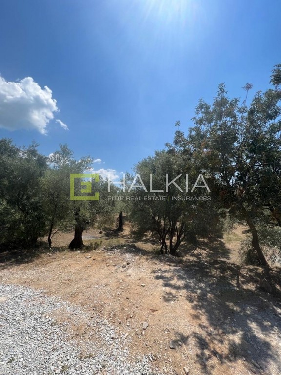 Οικόπεδο 517 τ.μ. πρός πώληση, Μαγνησία, Αγριά
